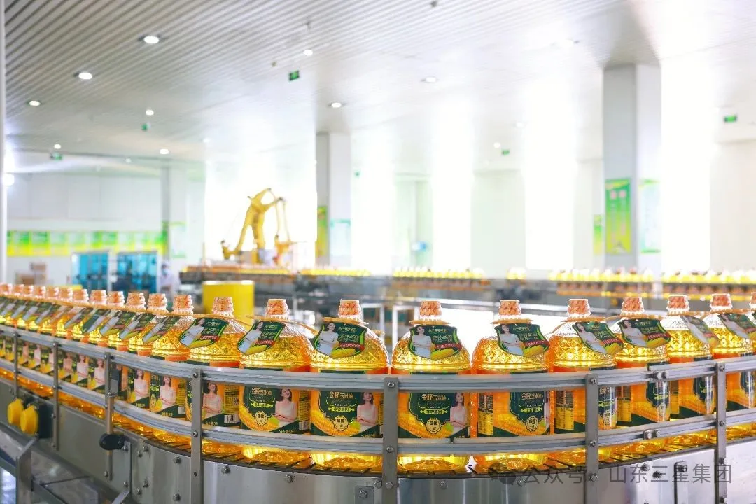 山東三星集團六個項目入選2025年山東省（第一批）企業技術創新項目計劃